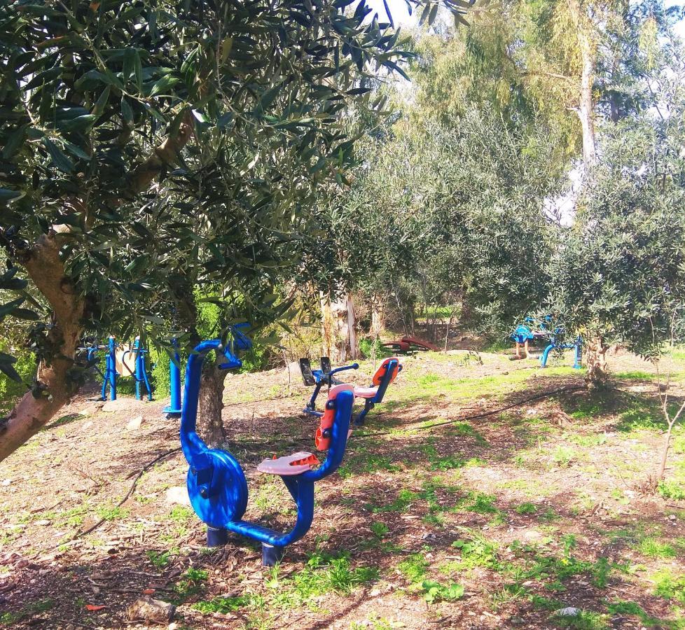 צימר בודד בגליל העליון Kefar Szold エクステリア 写真
