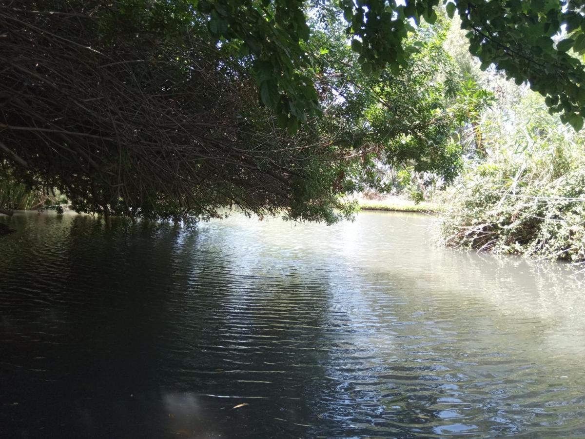 צימר בודד בגליל העליון Kefar Szold エクステリア 写真