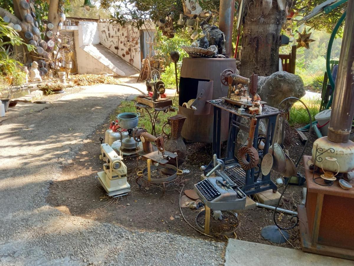 צימר בודד בגליל העליון Kefar Szold エクステリア 写真